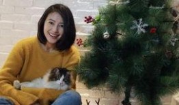 娱乐圈爆料高圆圆,娱乐圈新恋情引发热议